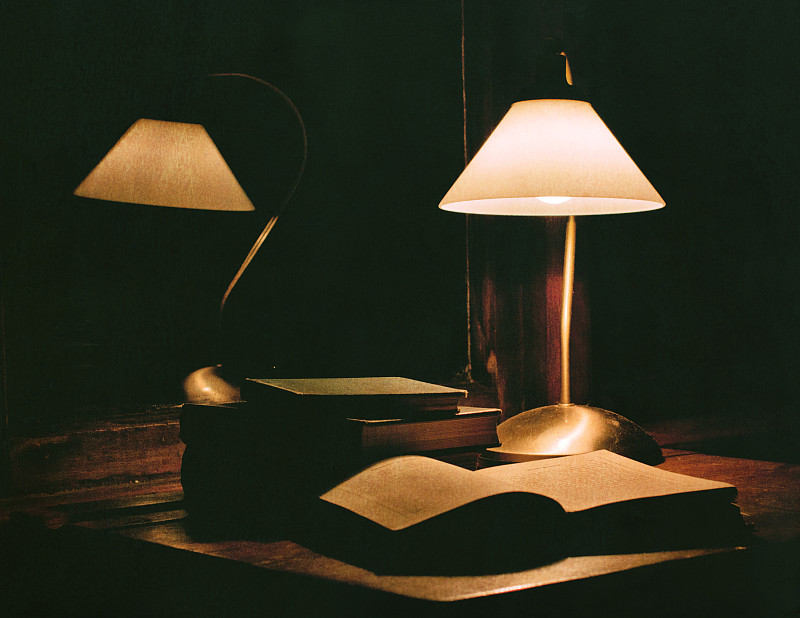 阳台日记的第一个月：从拍照到观察