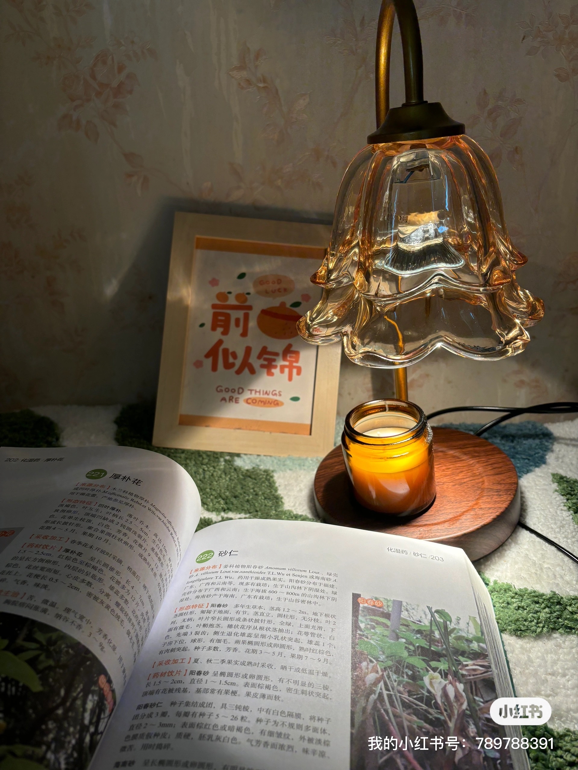 午夜厨房重置：两分钟恢复空间秩序